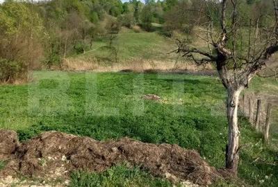 Teren de 4252 mp, în Vulcana-Pandele - 6