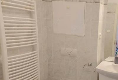 Garsonieră în Buziașului