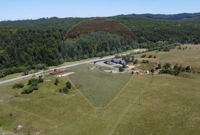 Teren agricol intravilan de 5561 mp, în Păltinoasa - 5