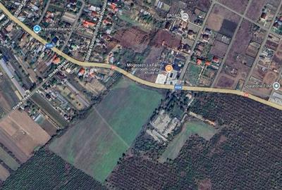 Teren Construcții intravilan de 55975 mp, în Adunații-Copăceni