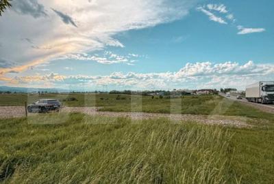 Oportunitate Investi?ie - Teren extravilan, 5000mp, 20 ml - - 2