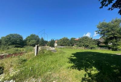 Spațiu comercial, în Moieciu - 6