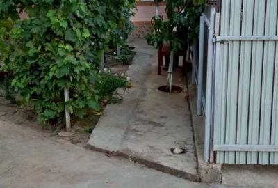 Casă cu 4 camere în Cudalbi - 2