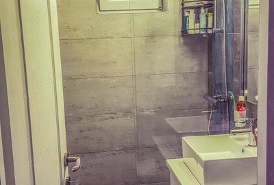 Apartament cu 2 camere semidecomandat în Decebal - 8