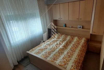 Apartament cu 2 camere decomandat, mobilat în Iosefin - 5