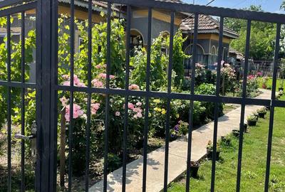 Casa Batraneasca + Teren Arabil - 3