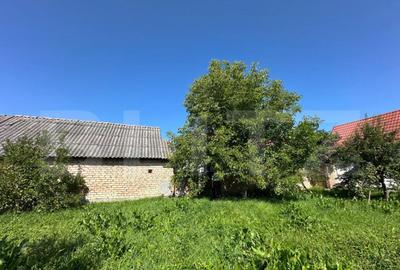 Casa saseasca de vanzare, curte, gradina, teren 3000 mp - Ji - 8