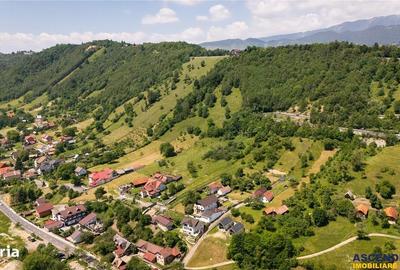 Teren de 4409 mp, în Moieciu - 20