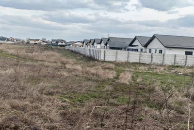 Teren Construcții de 7032 mp, în Berceni - 13