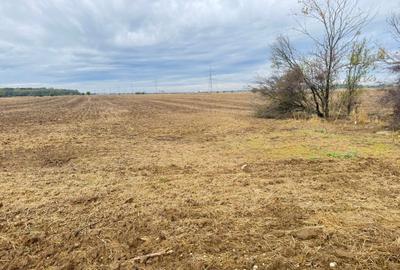 Teren intravilan de 400 mp, în Măgurele - 3