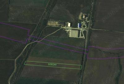 Oportunitate!!! 5 hectare, DN56A Timisoara-Sacalaz, langa centura - 4