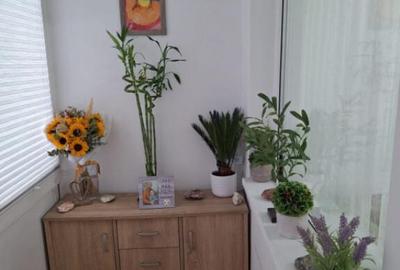 Apartament cu 3 camere, 53 mp, zona Malu Ro?u - 15