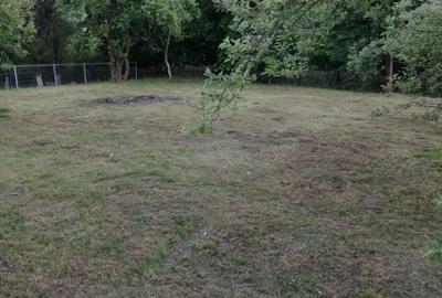 Casă cu Teren 1100 Mp în Ulmetu - 6