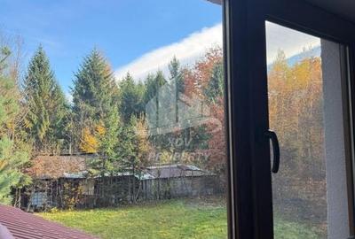 Pensiune/ Vila Valea Avrigului - 20