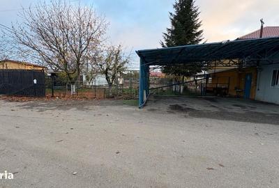 Teren de 10316 mp, în Tunari - 5
