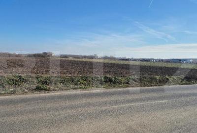 Teren extravilan, 7300 mp, Satu Mare periferie - 2