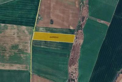 Teren de 87500 mp, în Sânandrei - 2