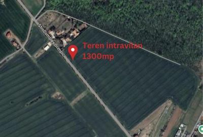 Teren Construcții intravilan de 1300 mp, în Ciolpani