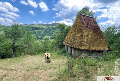 Casa de vanzare in Muntii Apuseni cu 17.596 mp teren