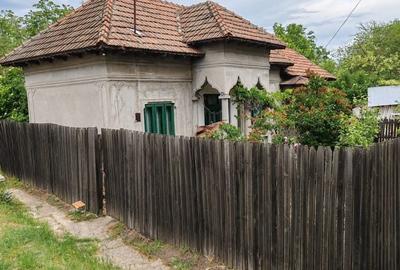Casă cu 3 camere în Beiu - 4