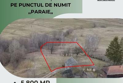 Teren de 5800 mp, în Barcani - 4