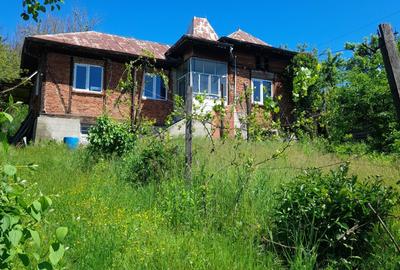 Casă cu 3 camere în Crivățu - 4