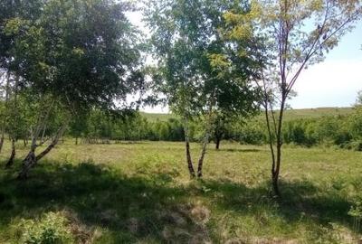 Teren de 900 mp, în Casele Micești - 4
