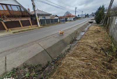 Spațiu comercial, în Măgura - 6