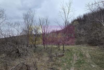 Spațiu comercial, în Șotrile - 1