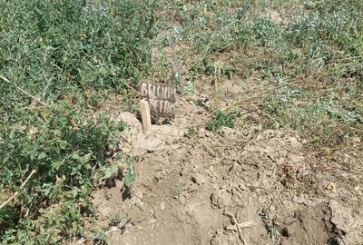 Teren de 429 mp, în Romanu - 3