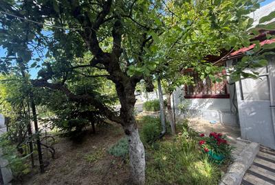 Casă individuală cu 3 camere cu Canalizare în Bucureștii Noi - 8