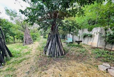 Teren 1,087mp Slatina / Prelungirea Tunari - 2