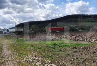 Teren de 4300 mp, în Mănăștur