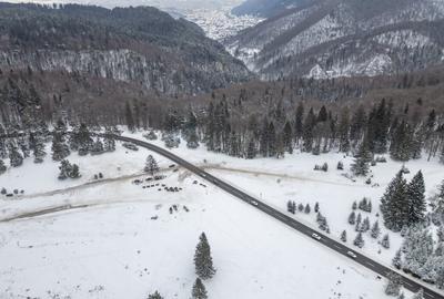 Teren intravilan, constructii S+P+2E+M, Drumul Poienii - 17