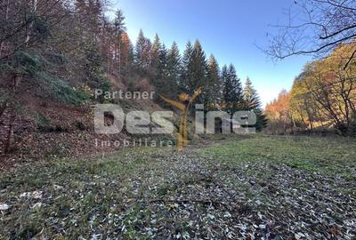 Teren Construcții extravilan de 2882 mp, în Podu Dâmboviței - 3