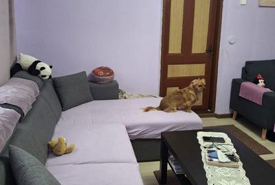 Casă cu 3 camere cu Teren 2155 Mp în Traian - 15