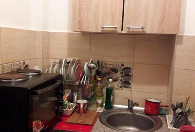 Garsonieră nedecomandată în Buziașului - 4