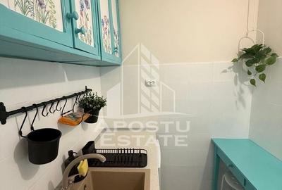 Garsoniera renovata, etaj intermediar,  zona Lipovei - 4