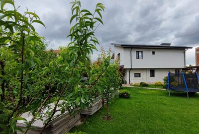 Duplex cu 4 camere cu Canalizare în Domnești - 9