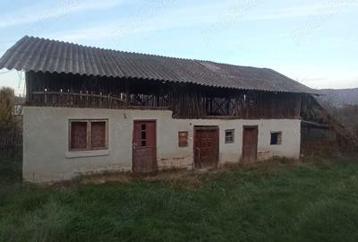 Casă cu 3 camere cu Teren 1350 Mp în Dârmănești - 3