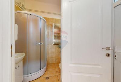 Inchiriere imobil Brasov, zona centrala, strada Aurel Vlaicu, curte - 15