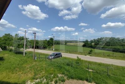 Casa spatioasa la rosu, 2024, 2800 mp teren, zona Andrieseni - 8