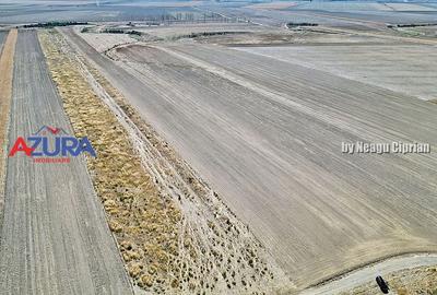 Teren agricol, 5HA, comasat, drum acces, Cateasca - 9