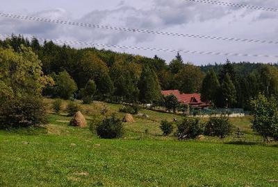 Teren intravilan situat in Traisteni - 9