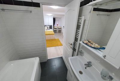 Garsonieră semidecomandată, mobilată în Parcul Carol - 6