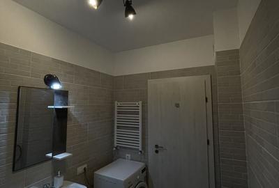 Apartament cu 2 camere semidecomandat, mobilat în Micălaca - 6