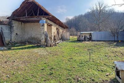 Teren de 1800 mp, în Ciclova Română - 7