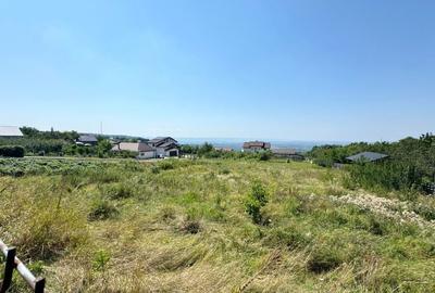 Teren de 960 mp, în Păun - 4
