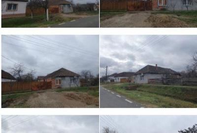 Cota 1/2 din casa -Loc. Sintea Mare, jud. Arad - 3