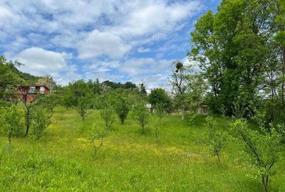 Teren de 4200 mp, în Ocina de Sus